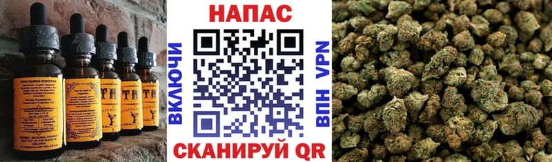 Купить  Медвежьегорск  Canna-Cookies конопля 