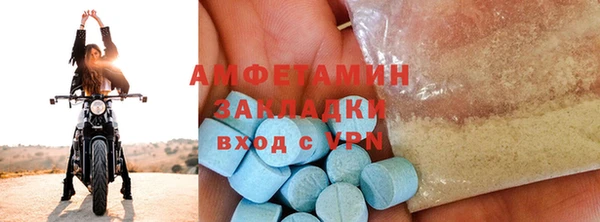 соль ск Ельня