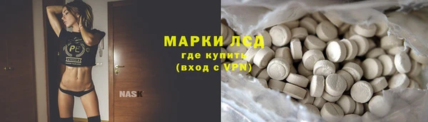 соль ск Ельня