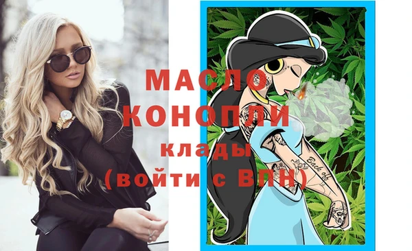 соль ск Ельня