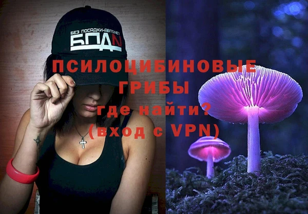 соль ск Ельня