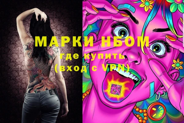 соль ск Ельня